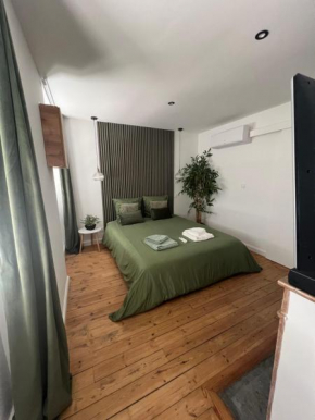 Studio cosy cœur de ville